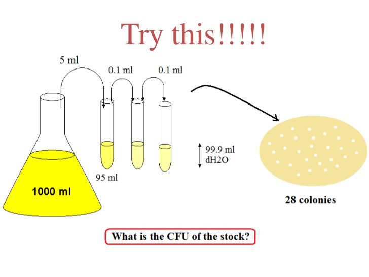 What Is A Serial Dilution